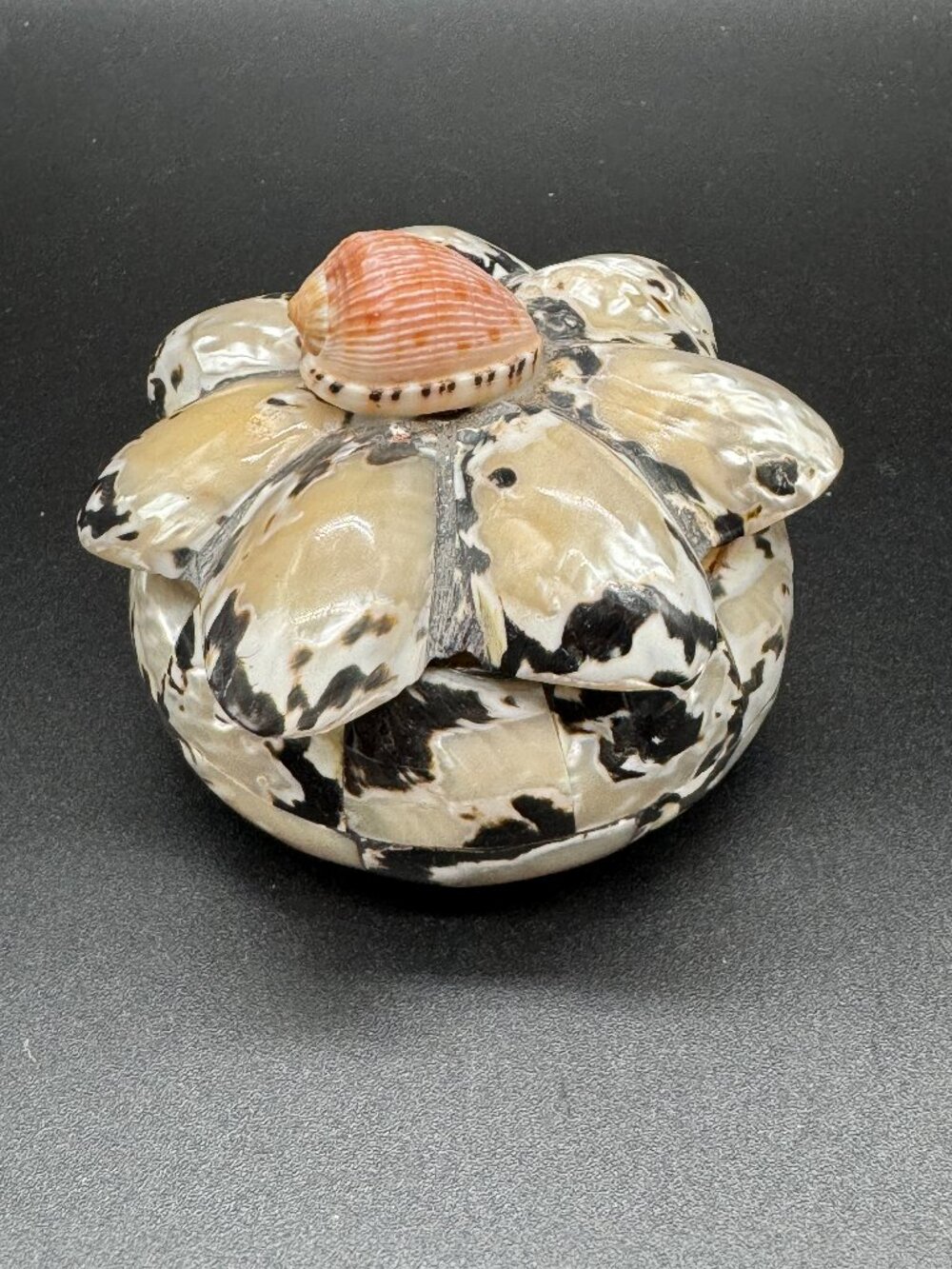 Vintage Handmade Trinket Box Shell Mother of Pearl Lid Black and White with Wood